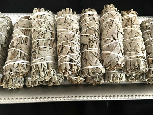 4" Sage Bundle