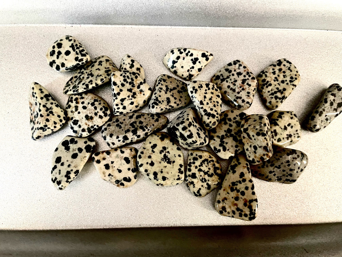 Dalmatian Jasper Tumble