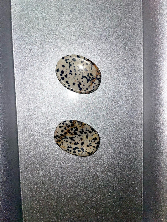 Dalmatian Jasper Worry Stone